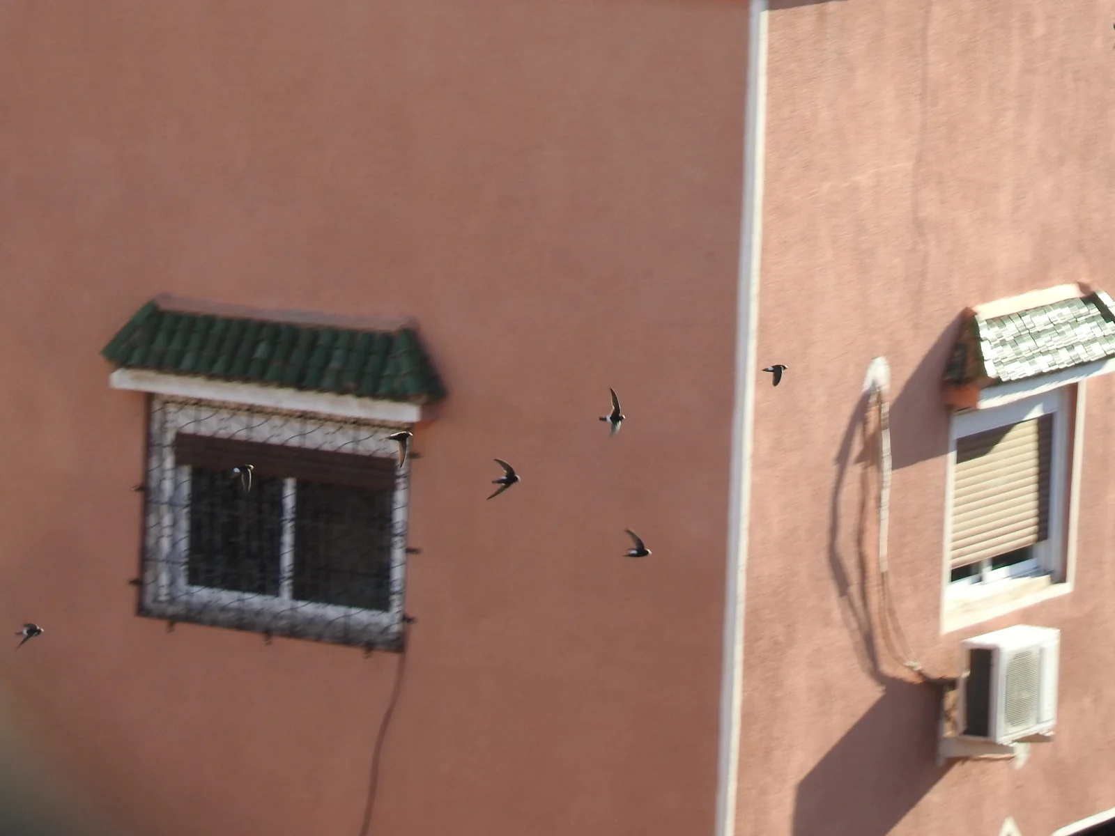 Martinet des maisons